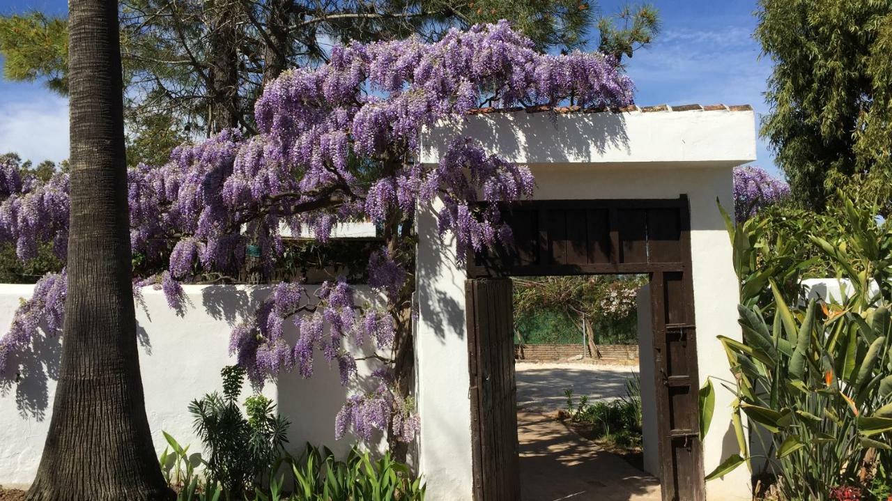 Roca Verde, Boutique Bed & Breakfast (Adults Only) Alhaurín de la Torre Esterno foto